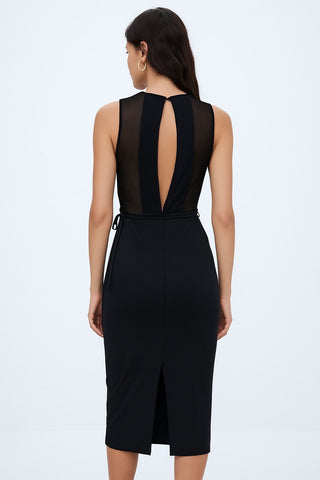Mesh Back Dress
