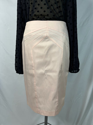 Blush Pink Pencil Skirt