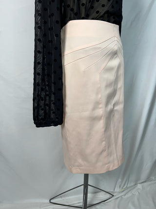 Blush Pink Pencil Skirt