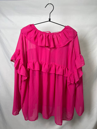 Sheer Ruffly Blouse
