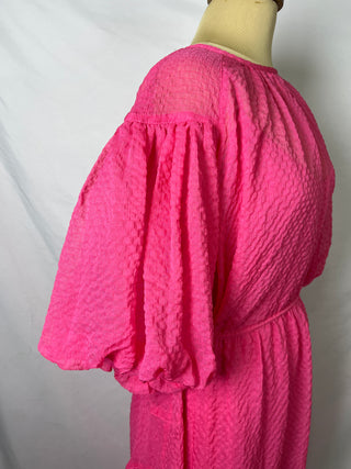 Puffy Sleeves Sheer Dress