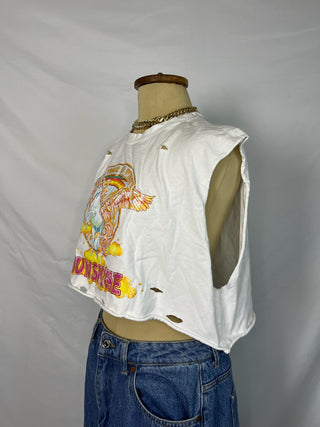 Distressed Pegasus Sunshine Graphic Crop Top