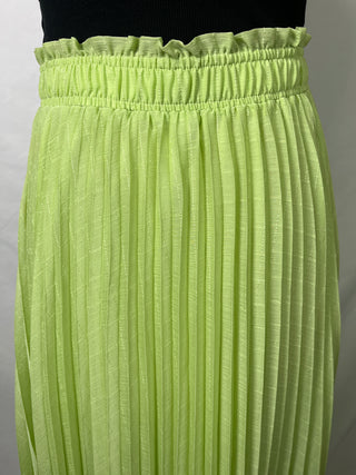 Minty Tinker Pleated Skirt
