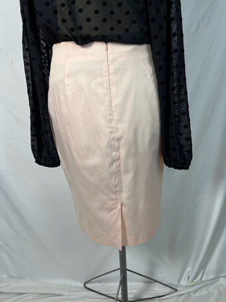 Blush Pink Pencil Skirt
