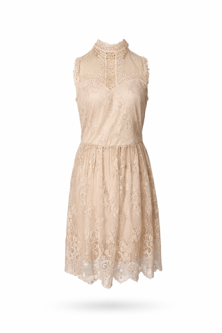 Polka Dot Lace Dress