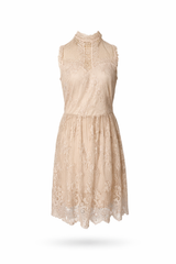 Polka Dot Lace Dress