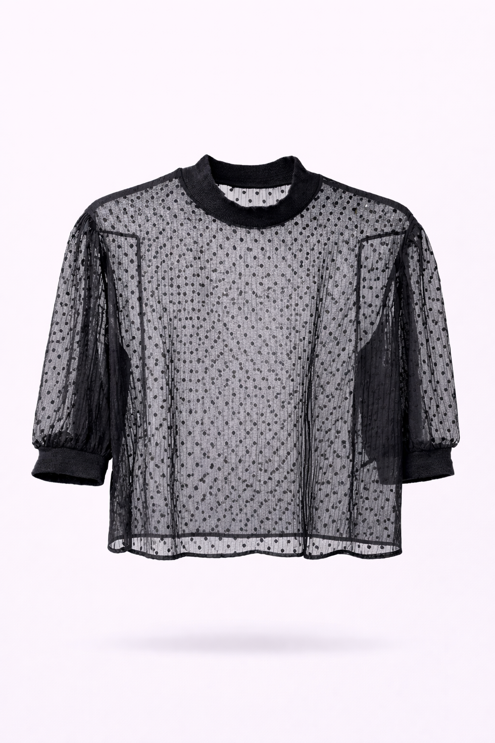 Sheer Dotted Puff Sleeve Blouse