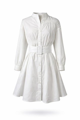 Two Tone Clean Dress